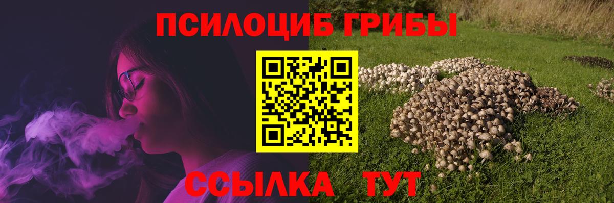 Галлюциногенные грибы мицелий  Вход с VPN  Шебекино 