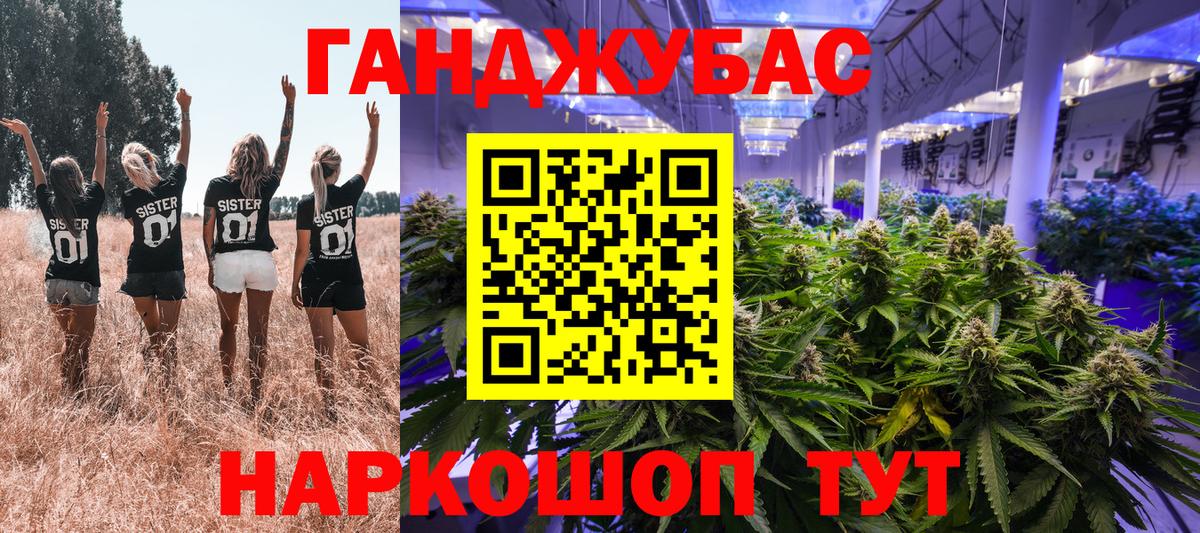 Шебекино  МАРИХУАНА план  Каннабис планчик  Конопля сатива  Вход с VPN  МАРИХУАНА Bruce Banner 